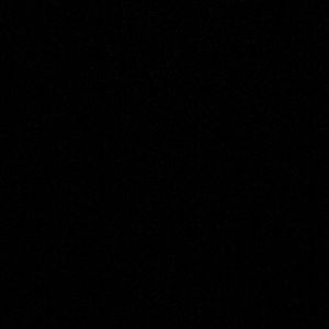 Meet your Posher, Trevor